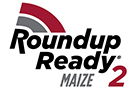 roundUpReadyMaize2